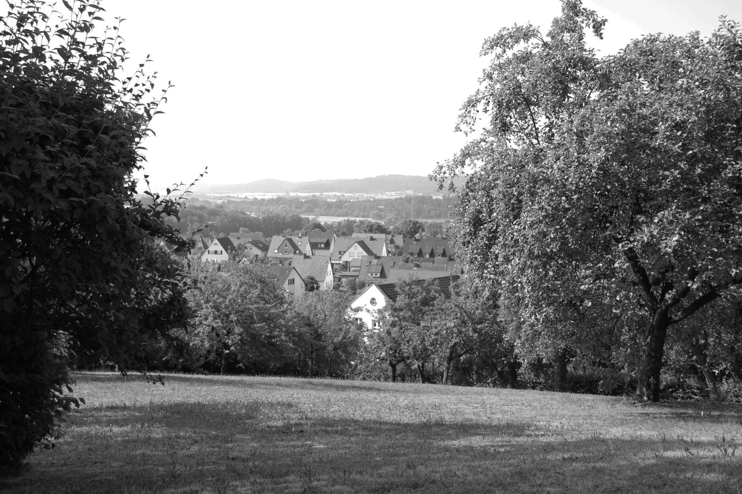 Blick über Streuobstwiesen auf Rosengarten-Westheim bei Schwäbisch Hall, schwarz-weiß